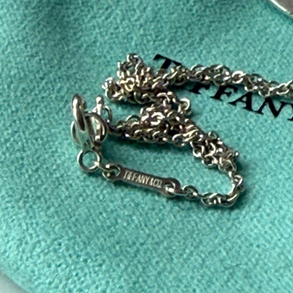 ❌SOLD❌Tiffany & Co. Elsa Peretti Large Oval Tag Pendant Necklace - Picture 5 of 10